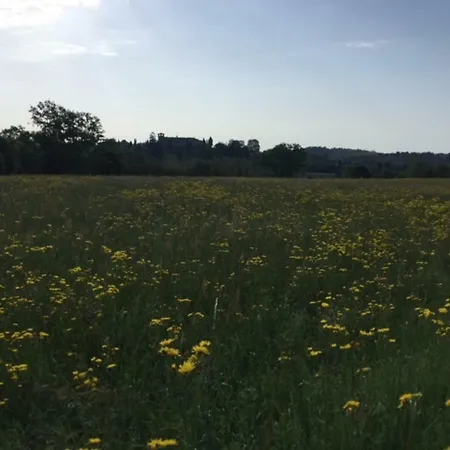 Villa Caroline Anzano Del Parco